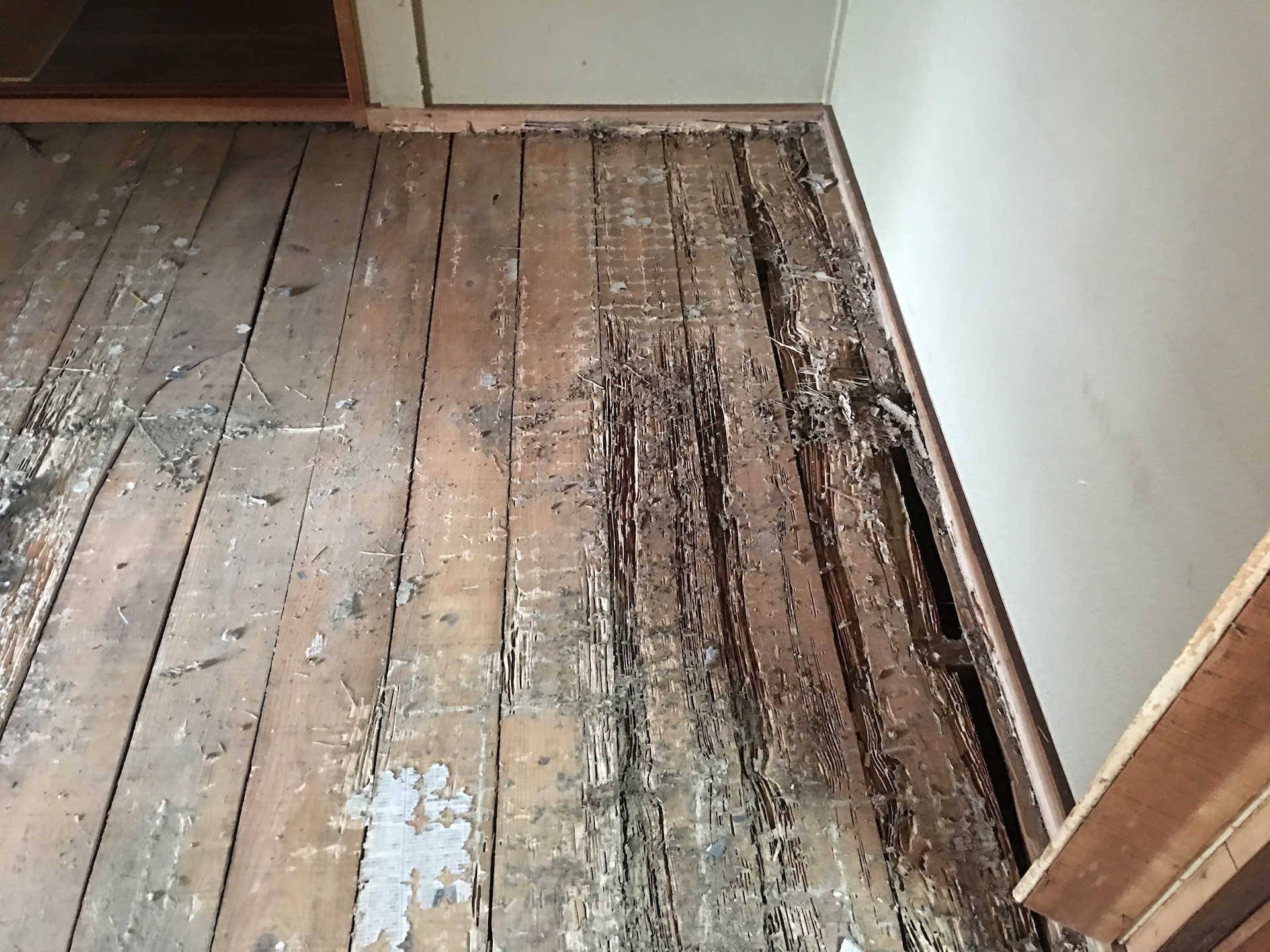Before画像