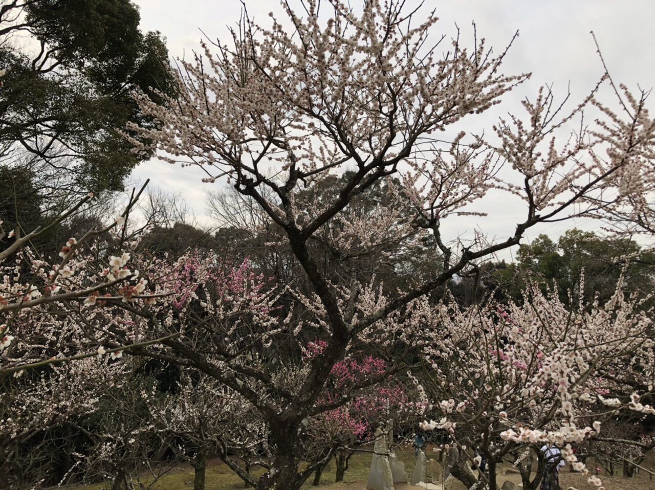 共有、実行が大切！