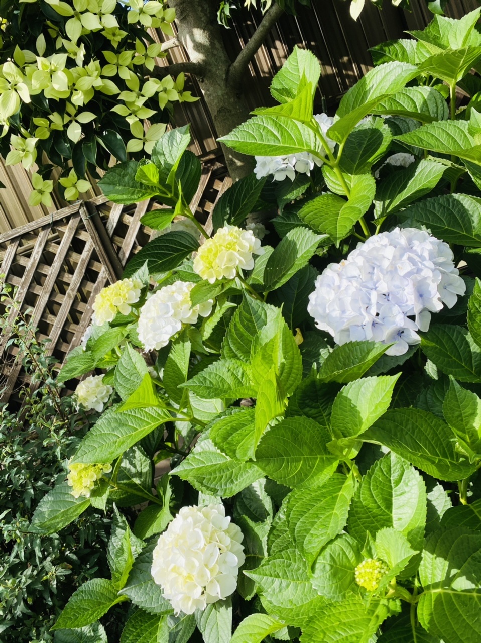 ついに…☔️