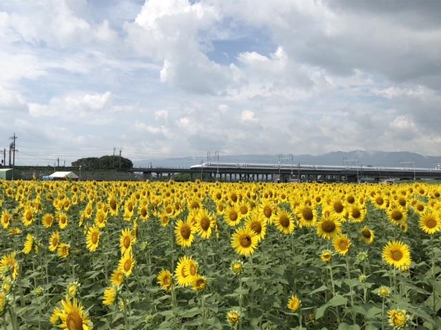 夏休みも終わり9月〜