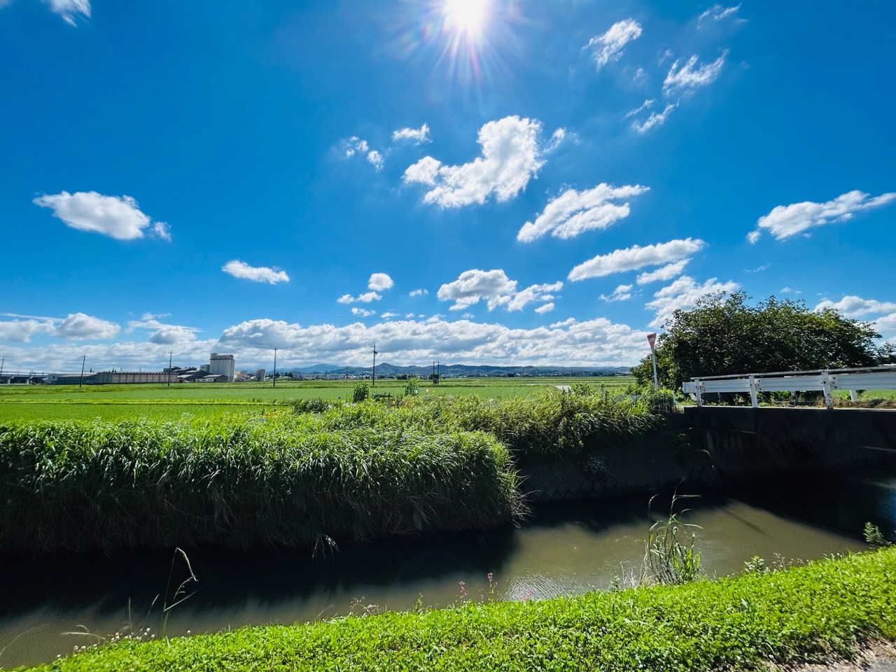 梅雨空の晴れ間